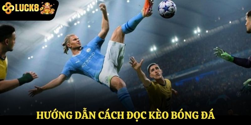 Hướng dẫn cách đọc kèo bóng đá