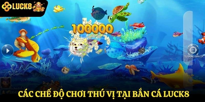 Các chế độ chơi thú vị tại bắn cá Luck8
