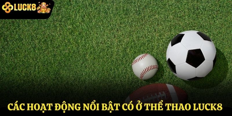 Các hoạt động nổi bật có ở thể thao Luck8