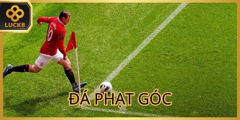 da-phat-goc