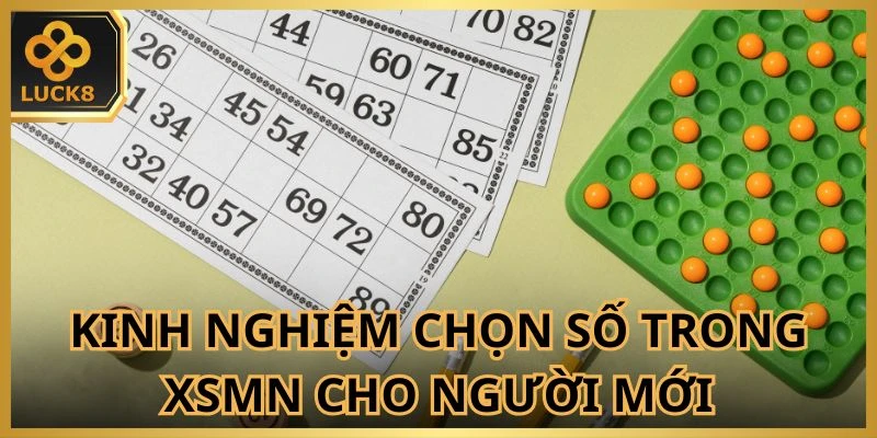 Kinh nghiệm chọn số trong XSMN cho người mới